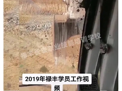 祿豐學(xué)員工作視頻